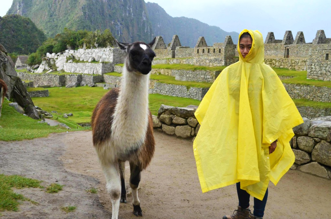 11022617_10205218431771810_3914910786625147509_o